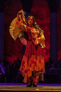 10255215_725440424167034_4426688926470970959_n