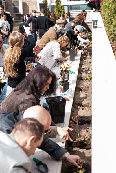 rozsaultetes_experidance_160329_nmp_027