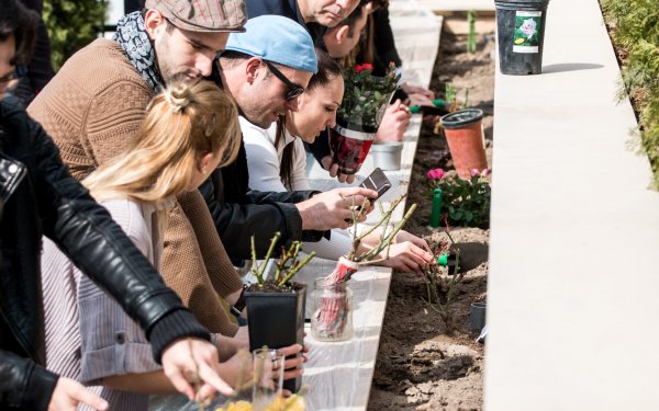 rozsaultetes_experidance_160329_nmp_029