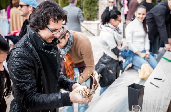 rozsaultetes_experidance_160329_nmp_038