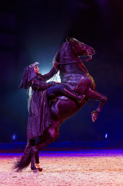 009_APASSIONATA_Im_Bann_des_Spiegels