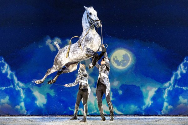 010_APASSIONATA_Im_Bann_des_Spiegels