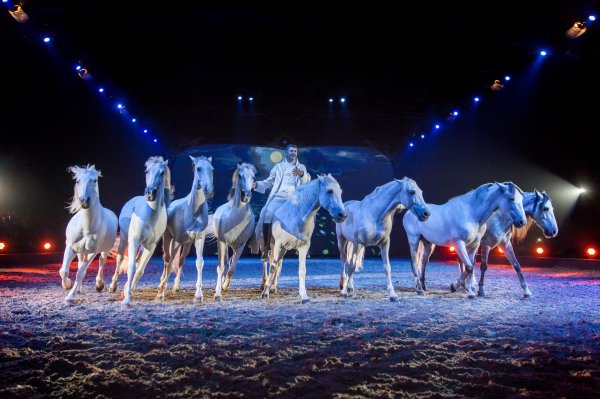 013_APASSIONATA_Im_Bann_des_Spiegels