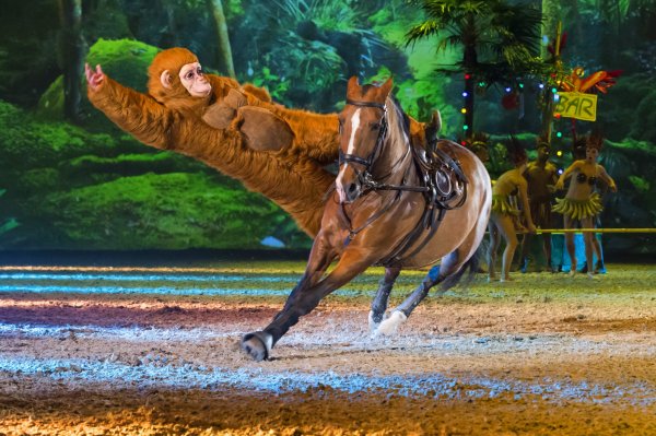 015_APASSIONATA_Im_Bann_des_Spiegels